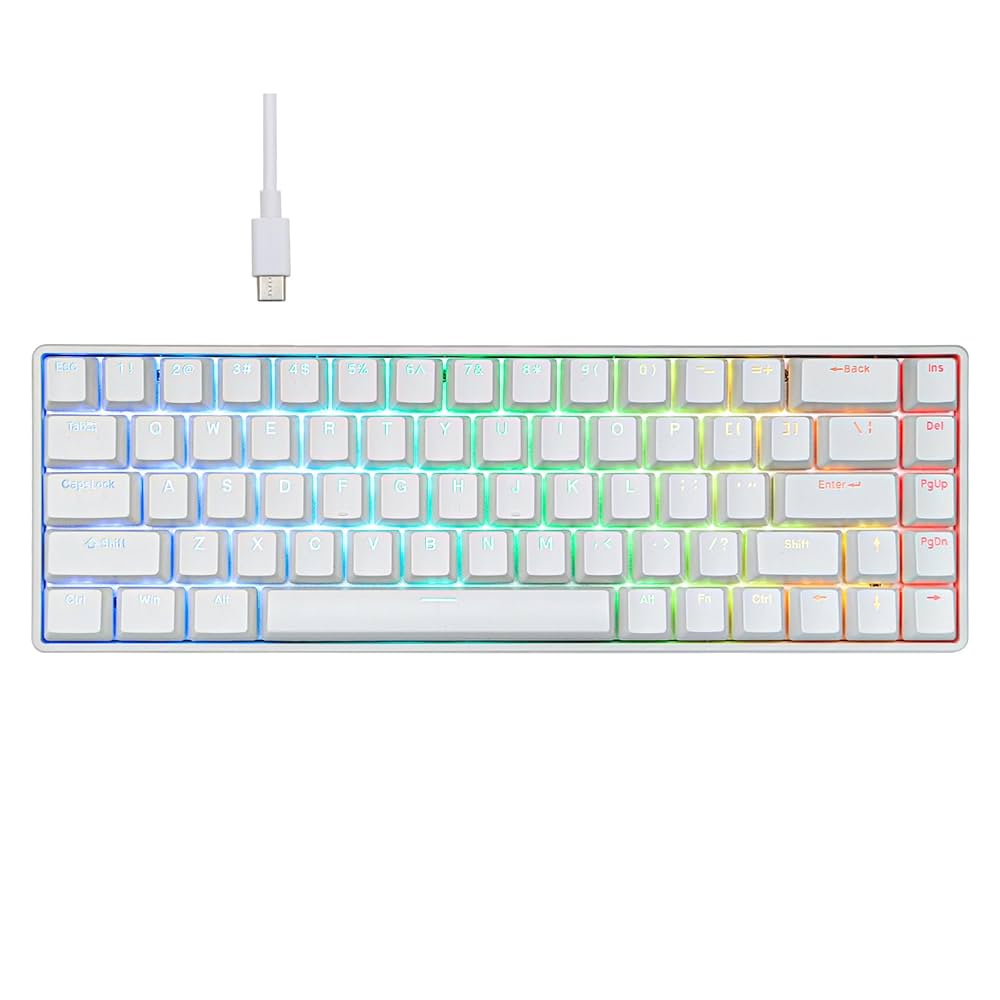 【新品・ラピトリ】VTER Fighting 68 RGB 白色 VTER Fighting68 Wired Gaming Keyboard Magnetic Switch - WhatGeek